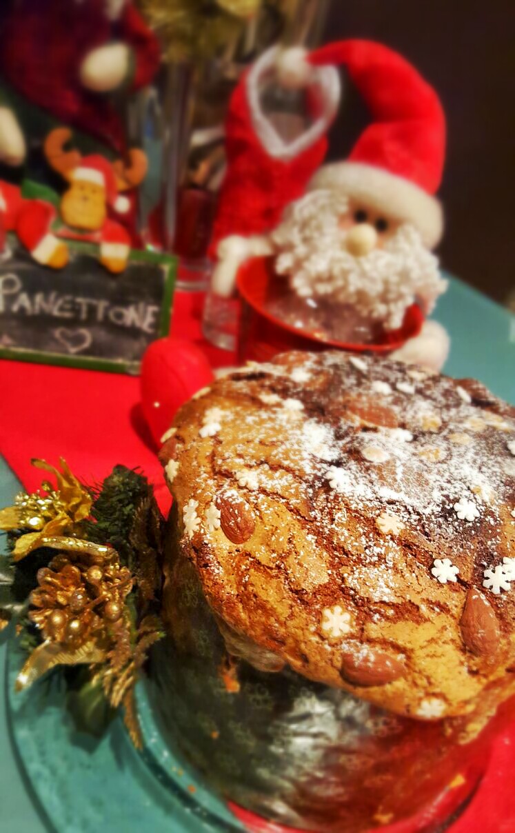 PANETTONE ARANCIA E CIOCCOLATO A LUNGA LIEVITAZIONE